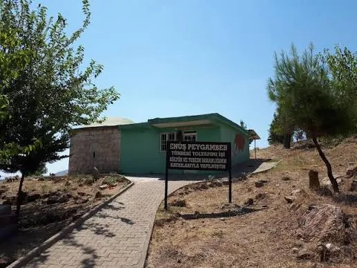 Enuş Peygamber
